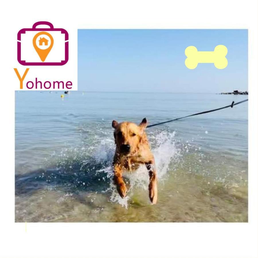 Zara D'Amare A Pesaro 10 Metri Dalla Spiaggia By Yohome מראה חיצוני תמונה